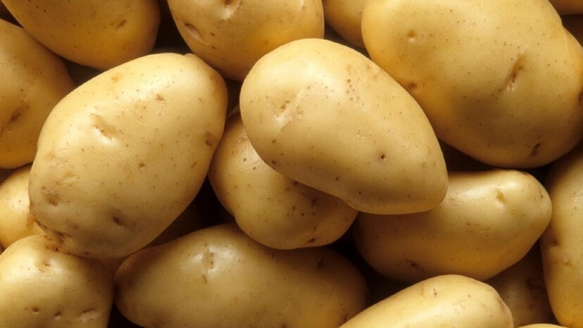 Bea papa quitosano.jpg